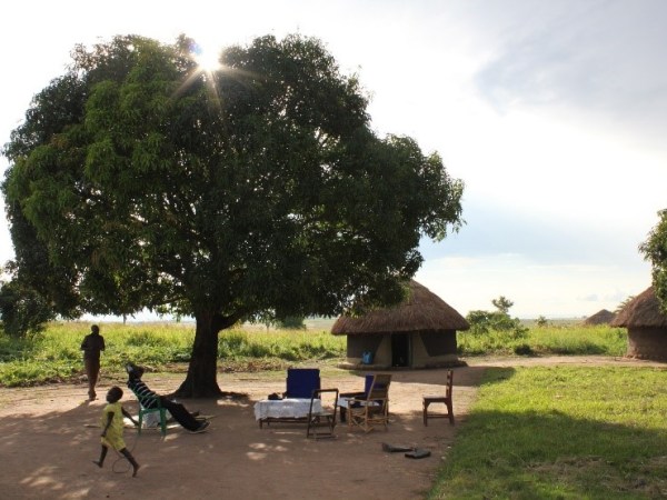 I mangoträdets skugga: om antropologi och det oavslutade&nbsp;fältarbetet
