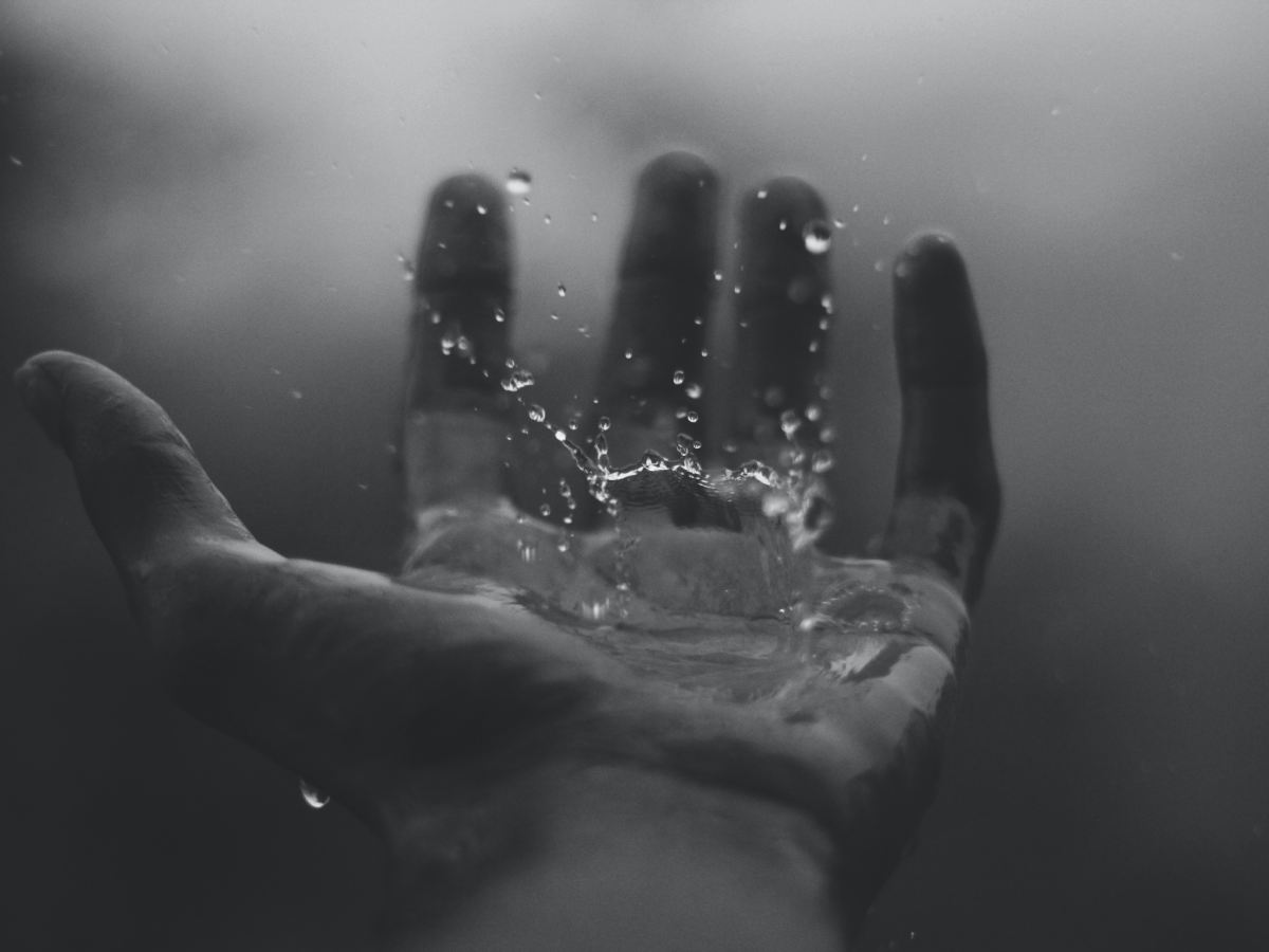 Vad betyder det att bry sig om&nbsp;antropologi?